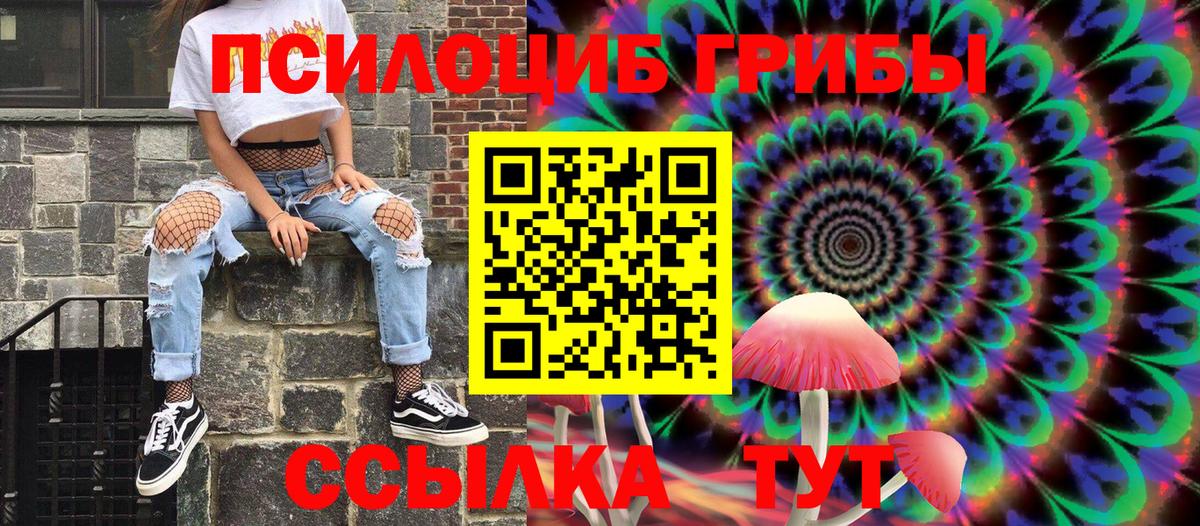 Галлюциногенные грибы Psilocybe Троицк